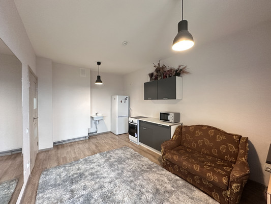 Продам однокомнатную (1-комн.) квартиру, Васнецовский пр-кт, 18, Санкт-Петербург г