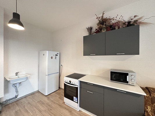 Продам однокомнатную (1-комн.) квартиру, Васнецовский пр-кт, 18, Санкт-Петербург г