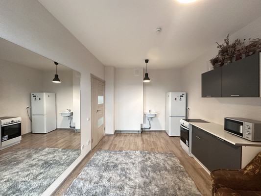 Продам однокомнатную (1-комн.) квартиру, Васнецовский пр-кт, 18, Санкт-Петербург г