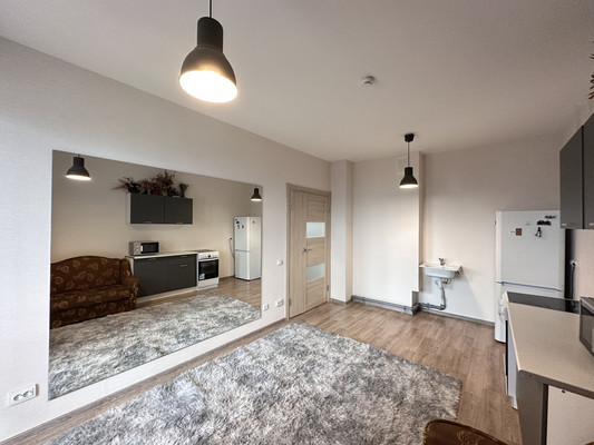 Продам однокомнатную (1-комн.) квартиру, Васнецовский пр-кт, 18, Санкт-Петербург г