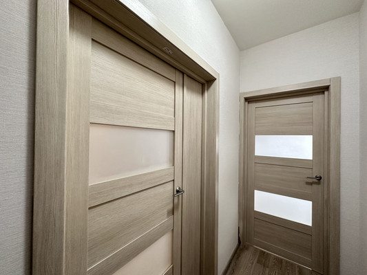 Продам однокомнатную (1-комн.) квартиру, Васнецовский пр-кт, 18, Санкт-Петербург г