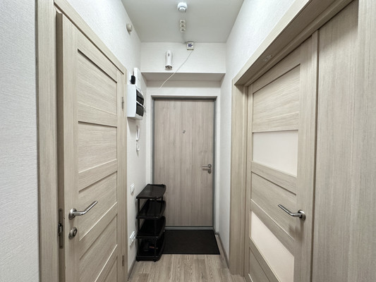 Продам однокомнатную (1-комн.) квартиру, Васнецовский пр-кт, 18, Санкт-Петербург г