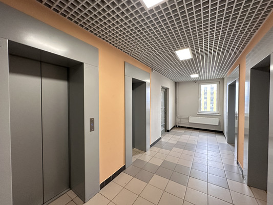 Продам однокомнатную (1-комн.) квартиру, Васнецовский пр-кт, 18, Санкт-Петербург г