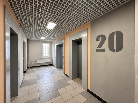 Продам однокомнатную (1-комн.) квартиру, Васнецовский пр-кт, 18, Санкт-Петербург г