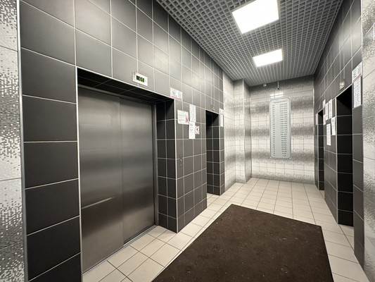 Продам однокомнатную (1-комн.) квартиру, Васнецовский пр-кт, 18, Санкт-Петербург г