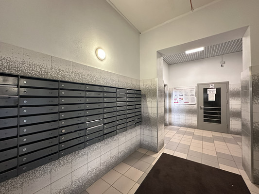 Продам однокомнатную (1-комн.) квартиру, Васнецовский пр-кт, 18, Санкт-Петербург г