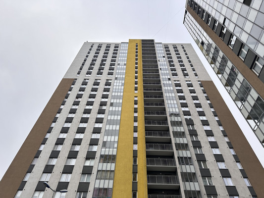 Продам однокомнатную (1-комн.) квартиру, Васнецовский пр-кт, 18, Санкт-Петербург г