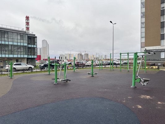 Продам однокомнатную (1-комн.) квартиру, Васнецовский пр-кт, 18, Санкт-Петербург г