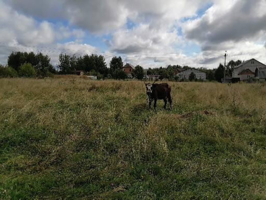 Продам участок 14,13 соток, Садоводство, Красная Деревня д, 0 км от города