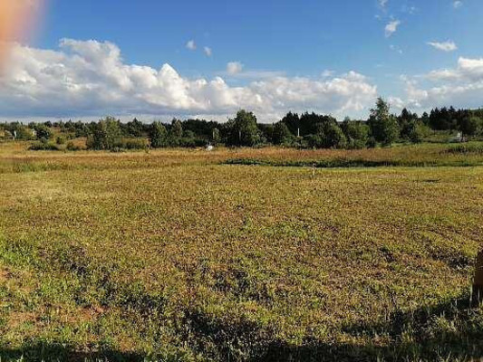 Продам участок 14,13 соток, Садоводство, Красная Деревня д, 0 км от города