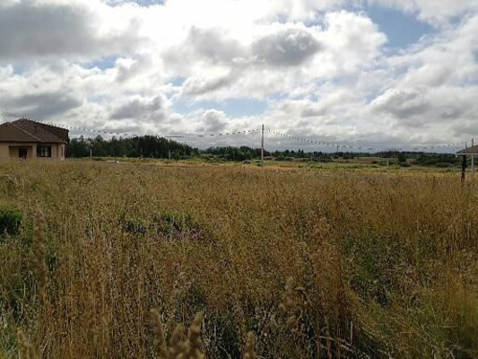 Продам участок 14,13 соток, Садоводство, Красная Деревня д, 0 км от города