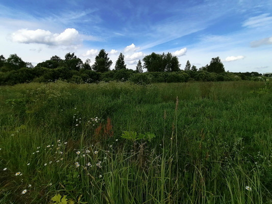 Продам участок 14,13 соток, Садоводство, Красная Деревня д, 0 км от города