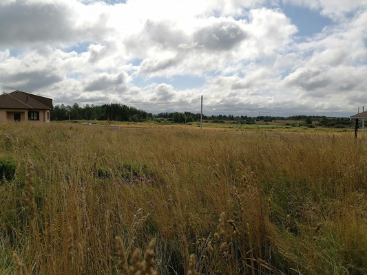 Продам участок 14,13 соток, Садоводство, Красная Деревня д, 0 км от города