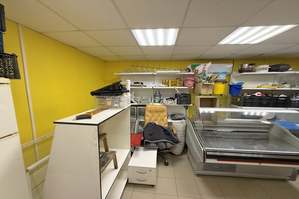 Сдам коммерческое помещение 116,4 м2, Отдыха ул, 3а, Екатеринбург г