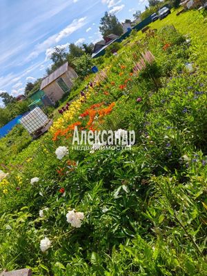 Продам дом, Антропшинская ул, 235, Коммунар г, 45 км от города