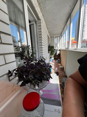 Продам двухкомнатную (2-комн.) квартиру, Извилистая ул, 21, Ростов-на-Дону г