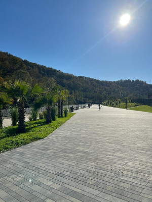 Сдам однокомнатную (1-комн.) квартиру, Искры (Адлерский р-н) ул, 88, Сочи г