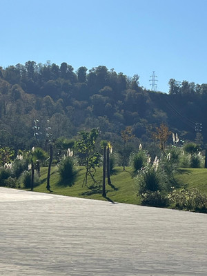 Сдам однокомнатную (1-комн.) квартиру, Искры (Адлерский р-н) ул, 88, Сочи г