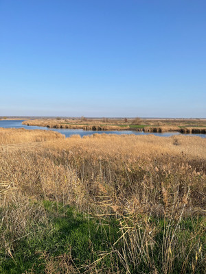 Продам дом, Ленина пер, 44, Победа х, 0 км от города