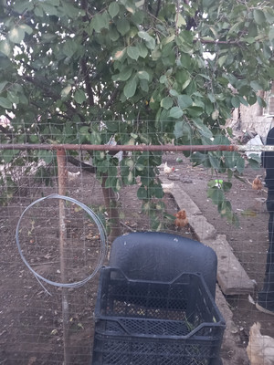 Продам дом, Орджоникидзе ул, 58, Новый Хушет с, 0 км от города