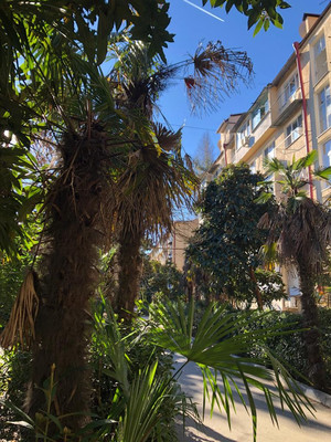 Продам двухкомнатную (2-комн.) квартиру, Гагарина (Центральный р-н) ул, 10, Сочи г