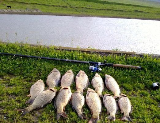 Продам участок 50 соток, ИЖС, Поярково д, 0 км от города