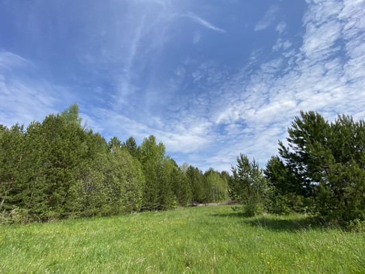 Продам участок 21,6 соток, ИЖС, Ленина ул, Усть-Качка с, 0 км от города