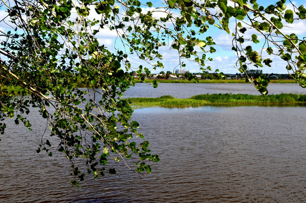 Продам участок 21,6 соток, ИЖС, Ленина ул, Усть-Качка с, 0 км от города