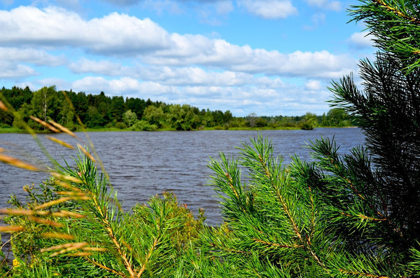 Продам участок 21,6 соток, ИЖС, Ленина ул, Усть-Качка с, 0 км от города