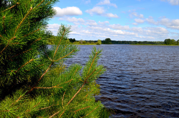 Продам участок 21,6 соток, ИЖС, Ленина ул, Усть-Качка с, 0 км от города