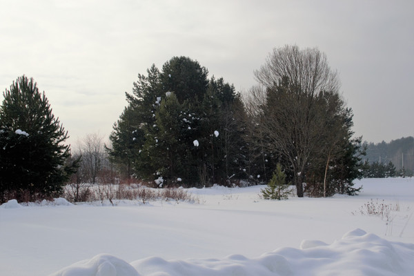 Продам участок 21,6 соток, ИЖС, Ленина ул, Усть-Качка с, 0 км от города