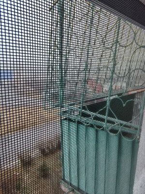 Продам двухкомнатную (2-комн.) квартиру, Забойщика ул, 38, Черемхово г