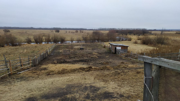 Продам дом, Пахомова с, 0 км от города