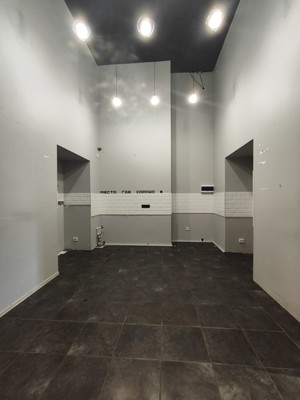 Сдам торговое помещение 47,1 м2, Науки пр-кт, 19к2, Санкт-Петербург г