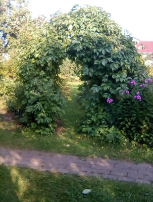 Продам участок 6,18 соток, Фермерское хоз., 13-я линия ул, Пески тер. СНТ, 0 км от города