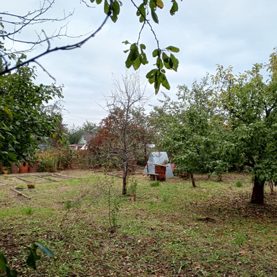 Продам участок 6,18 соток, Фермерское хоз., 13-я линия ул, Пески тер. СНТ, 0 км от города