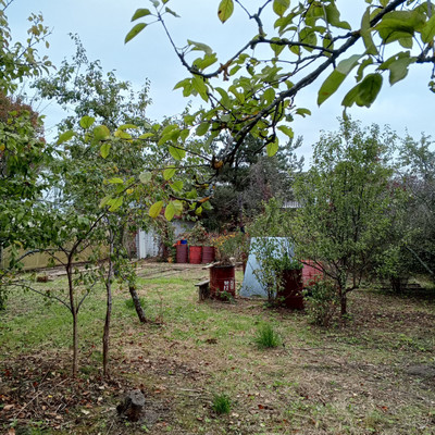 Продам участок 6,18 соток, Фермерское хоз., 13-я линия ул, Пески тер. СНТ, 0 км от города