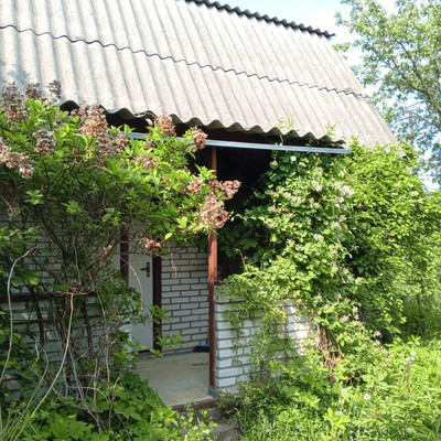 Продам дом, 13-я линия ул, Пески тер. СНТ, 0 км от города