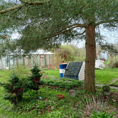 Продам дом, 13-я линия ул, Пески тер. СНТ, 0 км от города