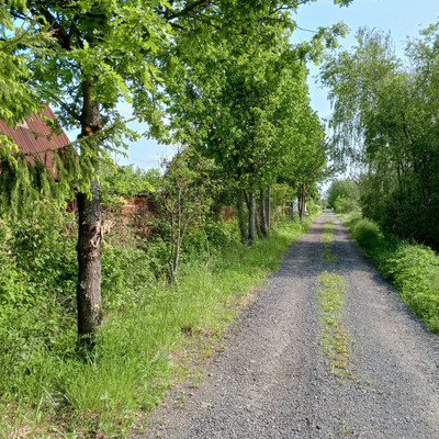 Продам дом, 13-я линия ул, Пески тер. СНТ, 0 км от города