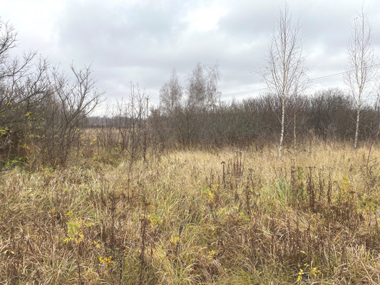 Продам участок 11 соток, ИЖС, Веселые пруды тер, 3, Никитское с, 0 км от города