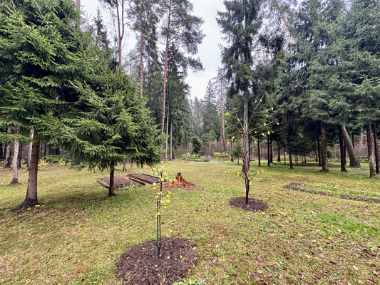 Продам дом, Росинка тер. СНТ, Степановское д, 0 км от города