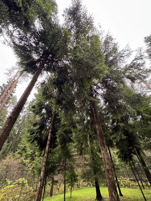 Продам дом, Росинка тер. СНТ, Степановское д, 0 км от города