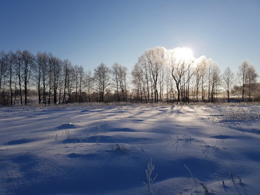 Продам участок 15,81 соток, ИЖС, Осенняя ул, Осеченки д, 0 км от города