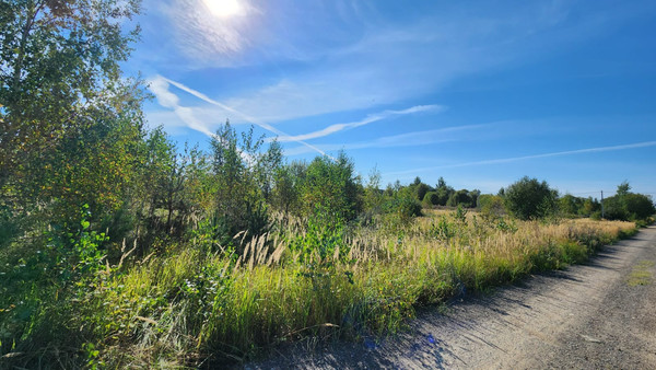 Продам участок 9,83 соток, ИЖС, Сергия Радонежского ул, Раменское г, 0 км от города