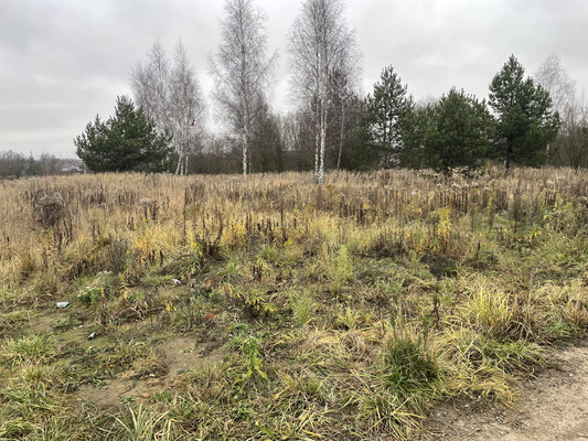 Продам участок 7,16 соток, ИЖС, Сергия Радонежского ул, Раменское г, 0 км от города