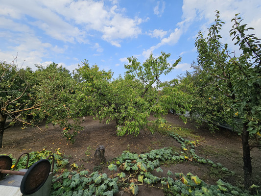 Продам дом, Набережная ул, 7, Генеральское с, 0 км от города