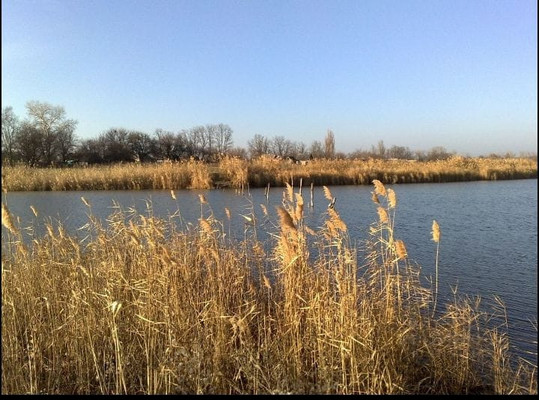 Продам дом, Ленинградская ул, Кут х, 0 км от города