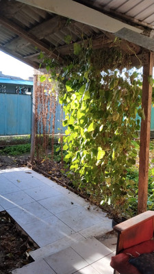 Продам дом, Тупик ул, Кагальницкая ст-ца, 0 км от города