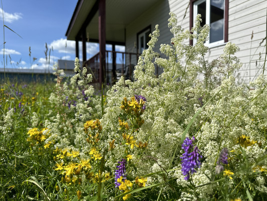 Продам дом, Цвелодубово п, 0 км от города